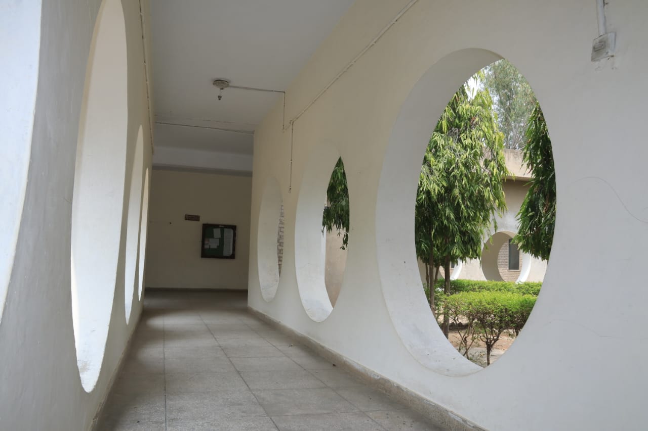 College Gallery Image